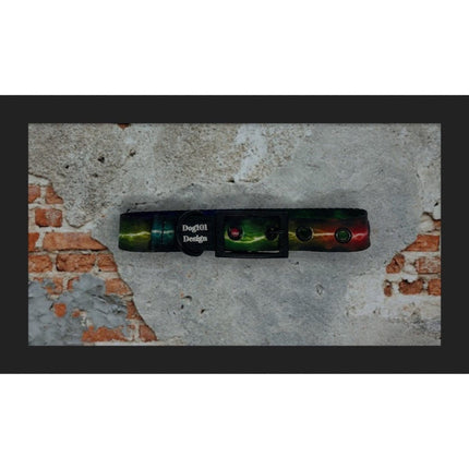 Dogtraining101 Large / Black Rainbow Lightning Buckle Collar
