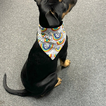Dogtraining101 Rainbows Bandanna