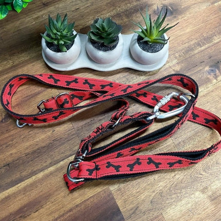Dogtraining101 Reactive Fancy Black Bone on Red Lead