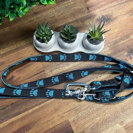 Dogtraining101 Reactive Fancy Blue Paw on Black Lead