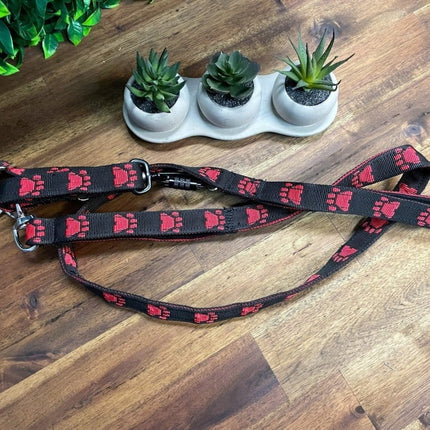 Dogtraining101 Reactive Fancy Red Paw on Black Lead