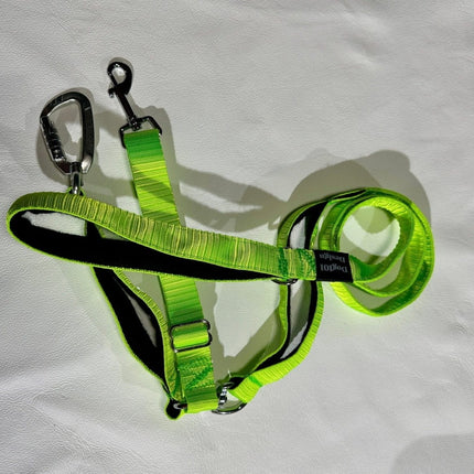 Dogtraining101 Reactive Fluro Green Lead