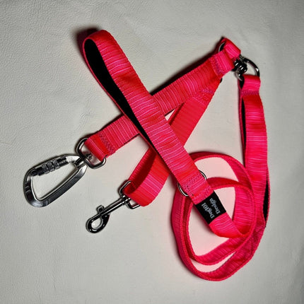 Dogtraining101 Reactive Fluro Pink Lead