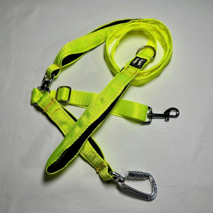 Dogtraining101 Reactive Fluro Yellow Lead
