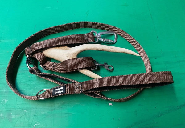 Dogtraining101 Reactive Plain Brown Lead