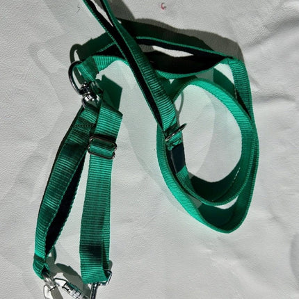 Dogtraining101 Reactive Plain Emerald Green Lead