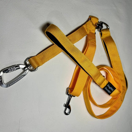 Dogtraining101 Reactive Plain Light Orange Lead