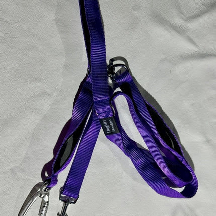 Dogtraining101 Reactive Plain Purple Lead
