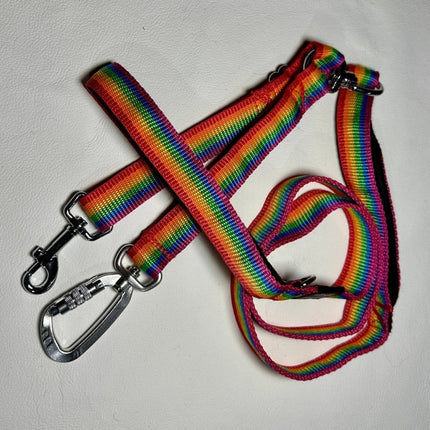Dogtraining101 Reactive Plain Rainbow Lead