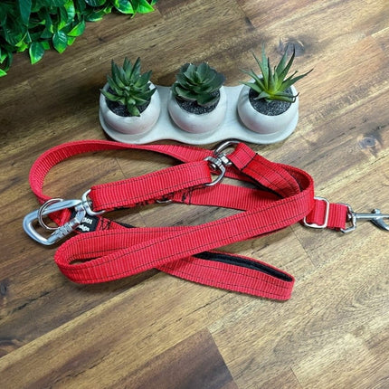 Dogtraining101 Reactive Plain Red Lead
