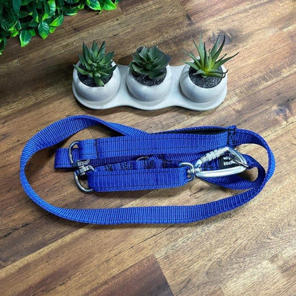 Dogtraining101 Reactive Plain Royal Blue Lead