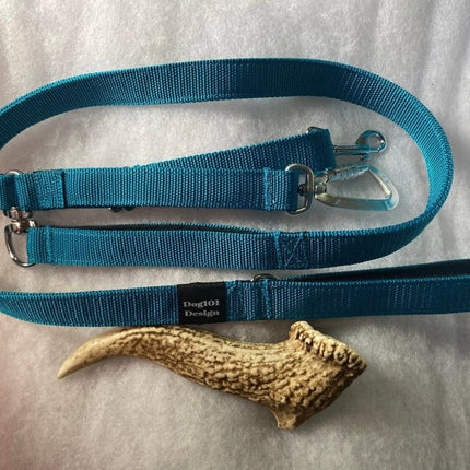 Dogtraining101 Reactive Thick Teal Lead