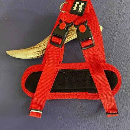 Dogtraining101 Retail Super Store Red Plain-Black Clip-Red Trim Harness (Small)