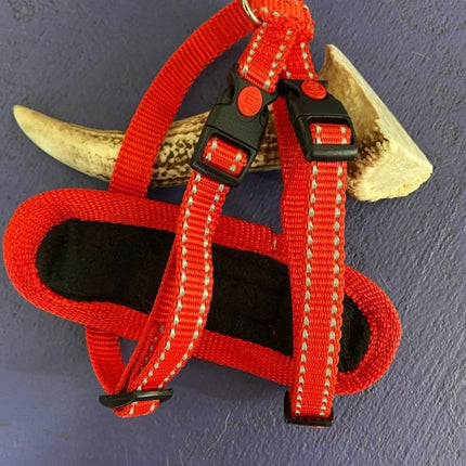 Dogtraining101 Red Trim-Black Clip-Red Reflective Harness (Small)