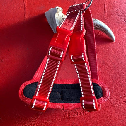 Dogtraining101 Retail Super Store Red Trim-Red Clip-Red Reflective Premium Harness (Medium)