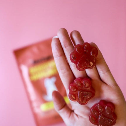 Raw Pawz Red Velvet DIY Gummies - Digestion Immunity