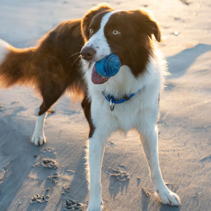 Rogz Rogz Squeekz Ball Blue