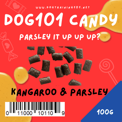 Dogtraining101 Roo and Parsley