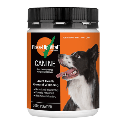Dogtraining101 Retail Super Store 150g Rose-Hip Vital Canine Powder