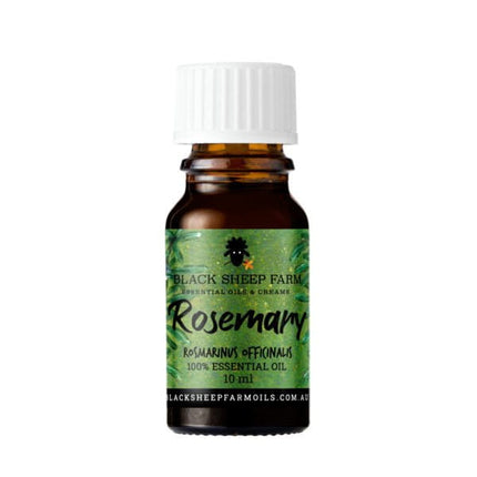 Dogtraining101 Retail Super Store Rosemary Essential Oil 10ml