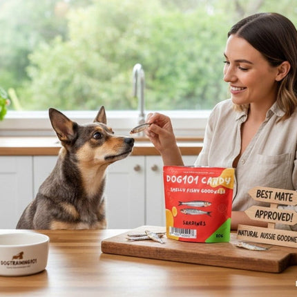 Dogtraining101 Retail Super Store Sardines - Fishy Fish Treat 80g