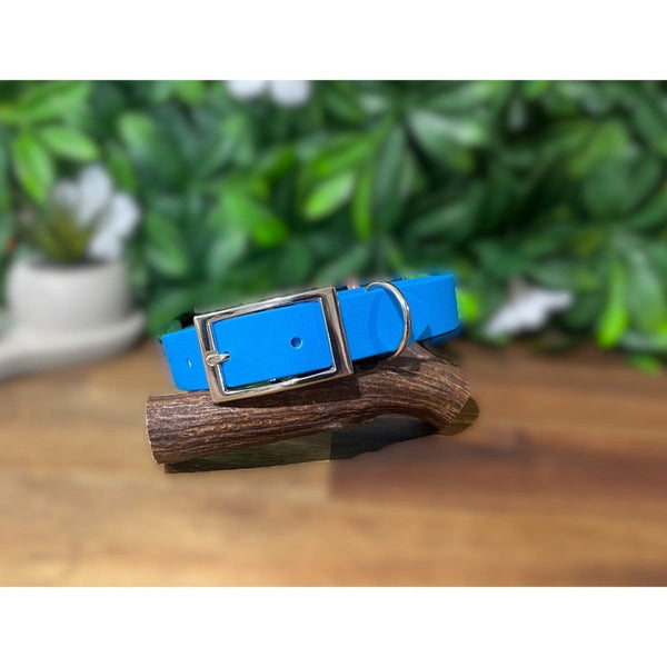 Dogtraining101 Extra Large / Silver Sky Blue Biothane Collar