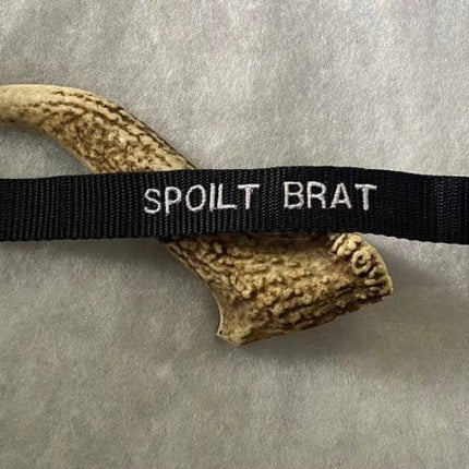 Dogtraining101 Medium / Snow White Small Font Spoilt Brat - Black Clip Plain Collar