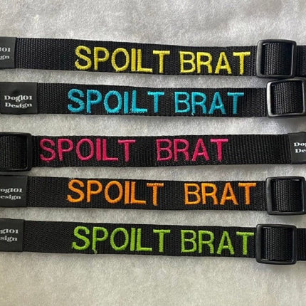 Dogtraining101 Spoilt Brat - Black Clip Plain Collar