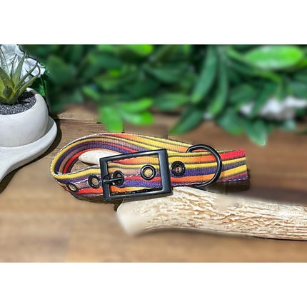Dogtraining101 Extra Large / Black Stripe Buckle Collar