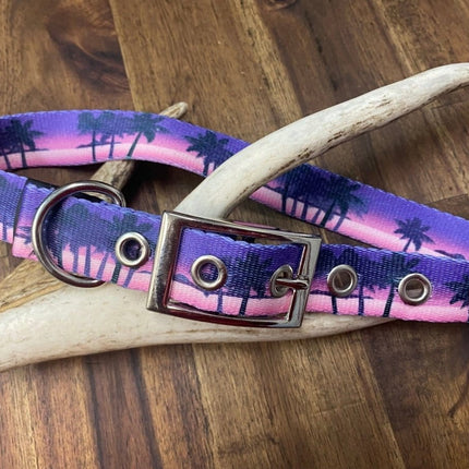 Dogtraining101 Sunset Buckle Collar