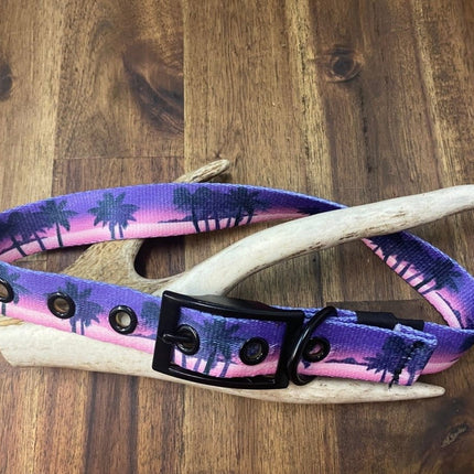 Dogtraining101 Medium / Silver Sunset Buckle Collar