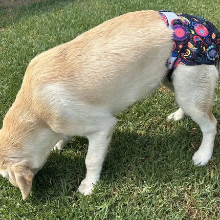 Loving Pets Washable Dog Nappies - Purple