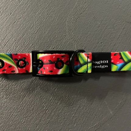 Dogtraining101 Watermelon Buckle Collar
