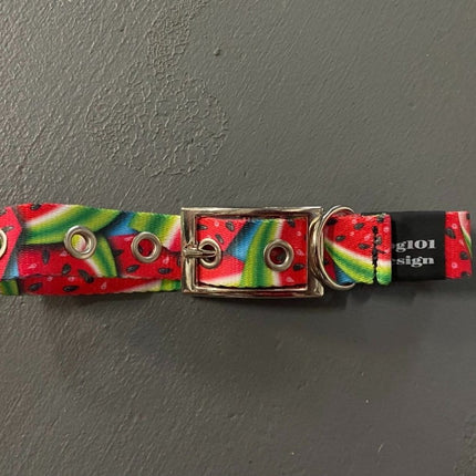 Dogtraining101 Watermelon Buckle Collar