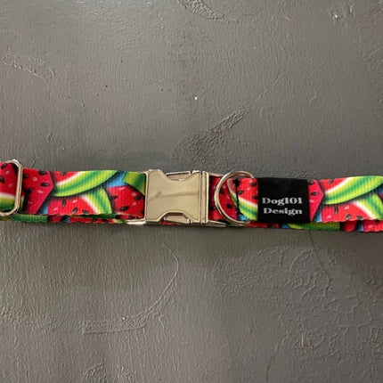 Dogtraining101 Watermelon Metal Clip Collar