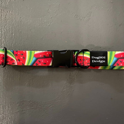 Dogtraining101 Watermelon Metal Clip Collar