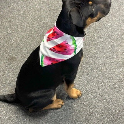 Dogtraining101 Watermelon Slices Bandana