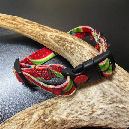 Dogtraining101 Retail Super Store Watermelon Webbing Collar (Small/Puppy)
