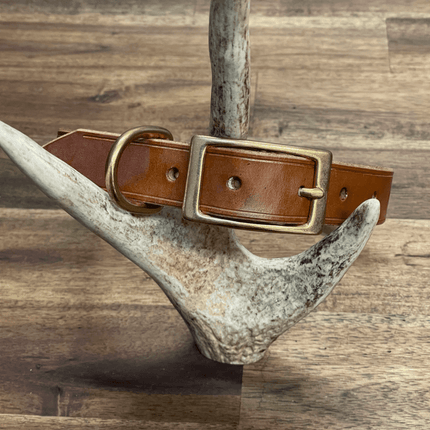 Dogtraining101 Large Whiskey Leather Collar