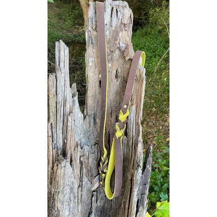 Dogtraining101 1.2m Yellow Two Tone Double Braid Leather Lead