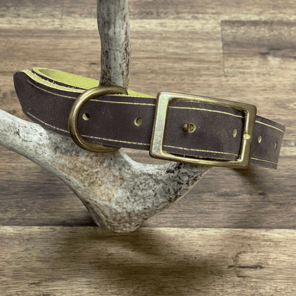 Dogtraining101 Large Yellow Two Tone - Soft Leather